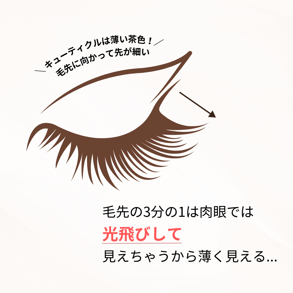 まつげ専用ブラックティント|Instant Eyelash Black Tint